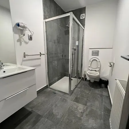 Gasthuis Pensiunea Luisa Craiova