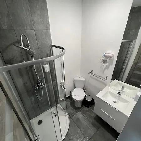 Pensiunea Luisa Gæstehus Craiova