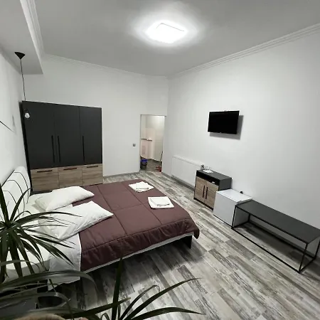 Pensiunea Luisa 3* Крайова