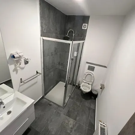 Gasthuis Pensiunea Luisa Craiova