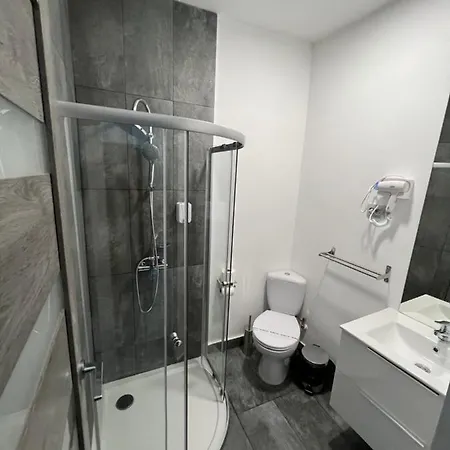 Gasthuis Pensiunea Luisa Craiova