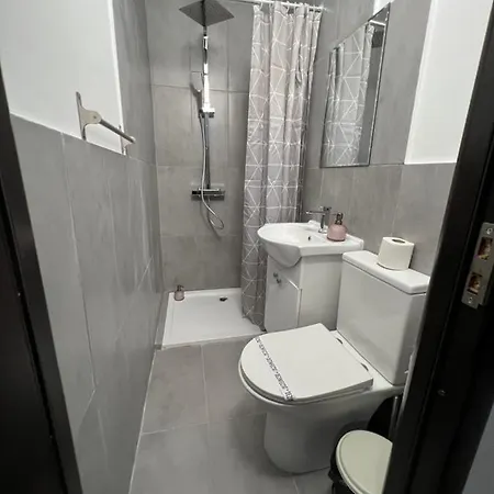 Gæstehus Pensiunea Luisa Craiova