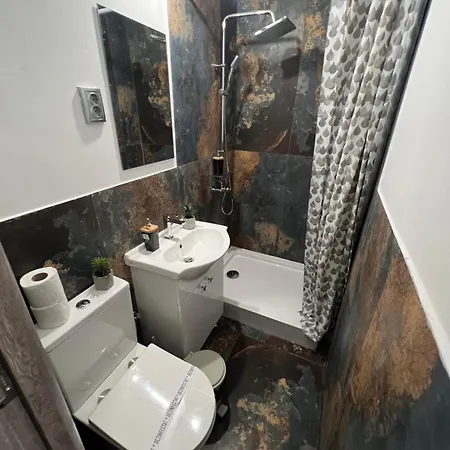 Gasthuis Pensiunea Luisa 3*