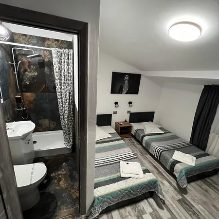 Gæstehus Pensiunea Luisa Craiova