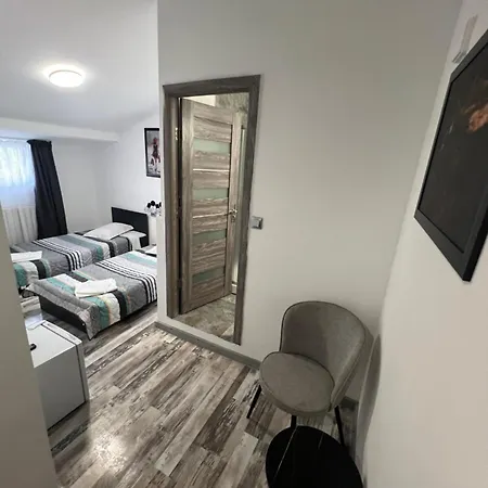 Gasthuis Pensiunea Luisa Craiova