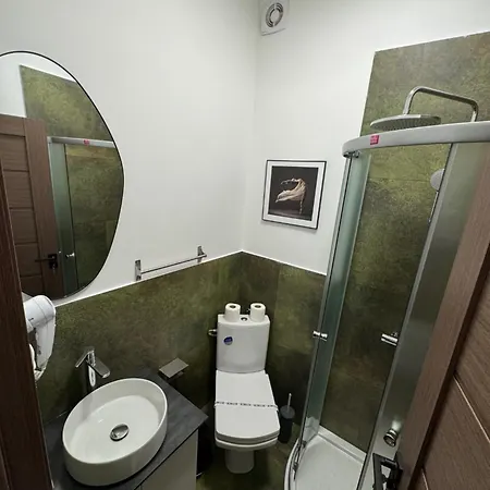 Gasthuis Pensiunea Luisa Craiova