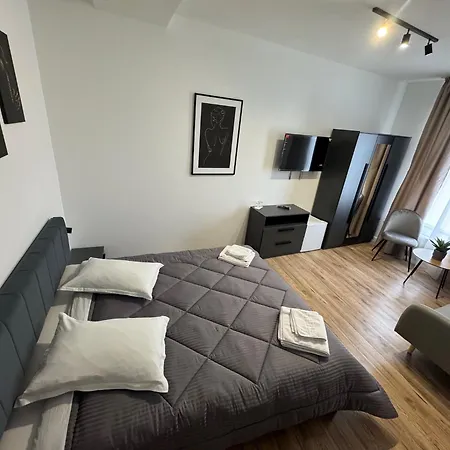 Pensiunea Luisa Gasthuis Craiova