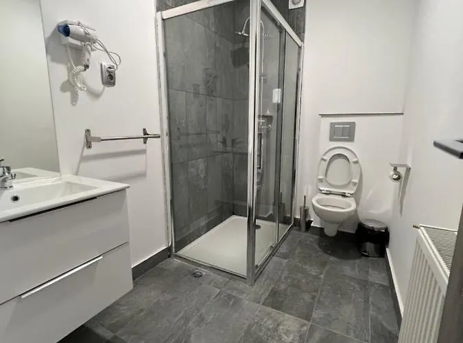 Gasthof Pensiunea Luisa Craiova