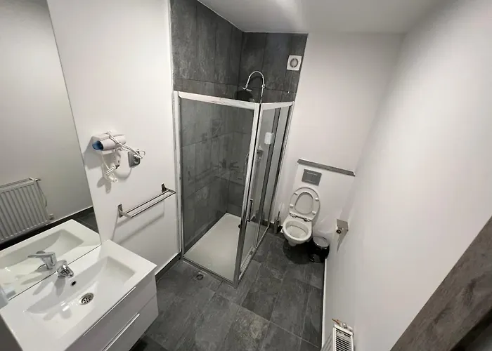 Gasthof Pensiunea Luisa Craiova