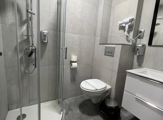 Pensiunea Luisa Penzion 3*