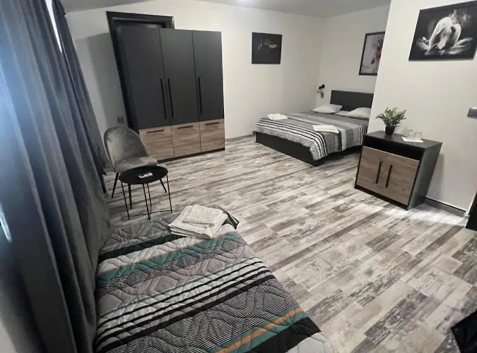 Pensiunea Luisa بيت ضيافة